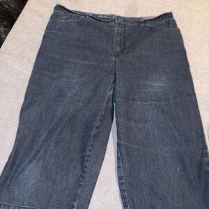 Gloria Vanderbilt Dark Blue Jean Shorts